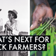 'Bring More Black Farmer Voices Together': How the Black Farmers Collective Is Growing a Black-Led Food System Rooted in Black Liberation